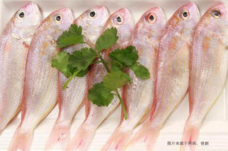 巴基斯坦金線魚(yú)進(jìn)口報(bào)關(guān)資料到廣州南沙水產(chǎn)品案例